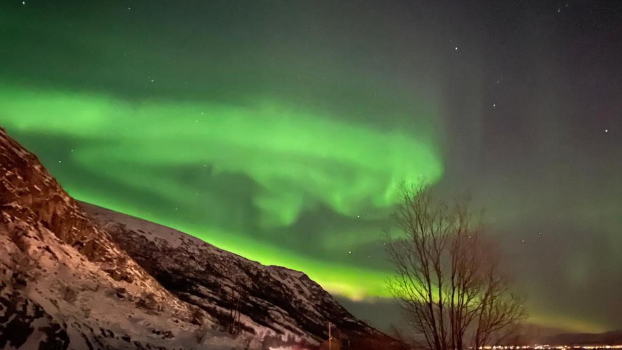 Lofoten Havfiske Leknes Exterior foto