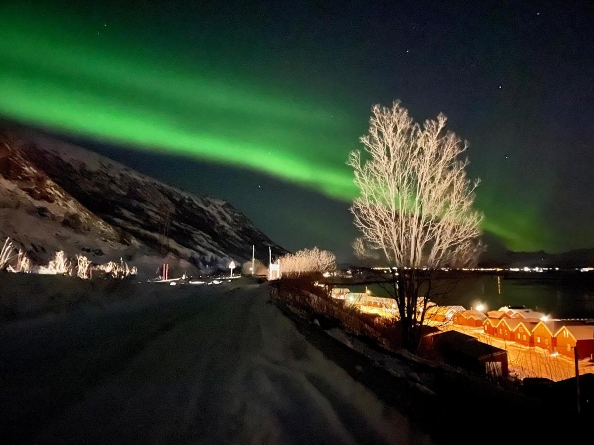 Lofoten Havfiske Leknes Exterior foto